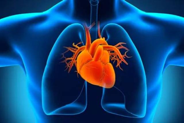 專家警告，心電圖正?！傩呐K無(wú)恙，這些癥狀可能是心臟疾病的早期信號(hào)！