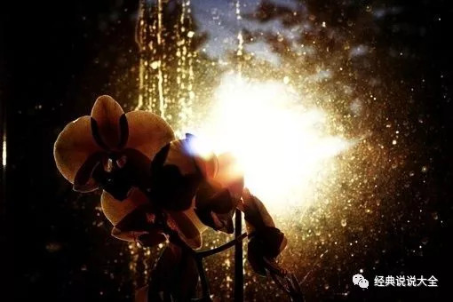 生萬物為何能觸動人心，一部關(guān)于生命與自然的啟示錄