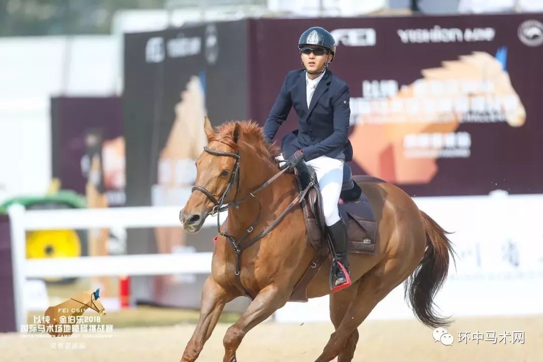 男子飛身上馬策馬狂奔，揭秘現(xiàn)代馬術(shù)運(yùn)動(dòng)的魅力與挑戰(zhàn)