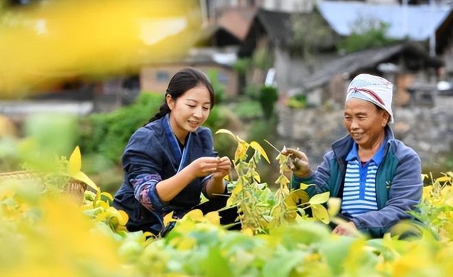 生萬(wàn)物大腳的魅力，種地版梁寬植，演繹農(nóng)業(yè)新風(fēng)尚