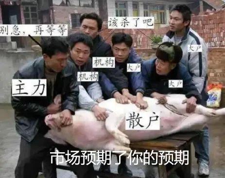 小孩哥出手，連套兩只活鴨，揭秘自媒體作者如何玩轉(zhuǎn)農(nóng)村生活！