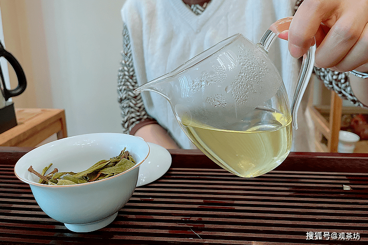 南方多地將熱破紀錄，夏日炎炎如何應對？全方位攻略助你清涼一夏！