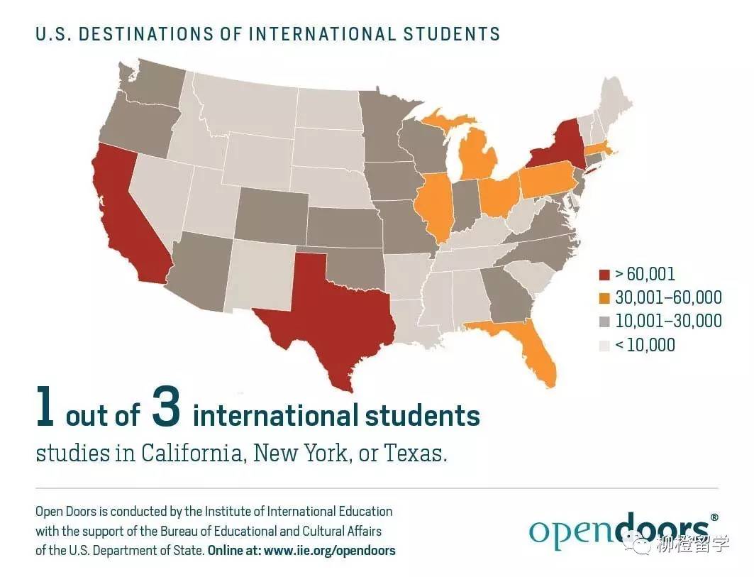深度解析，哪10個(gè)國(guó)家反對(duì)紐約宣言？背后的原因與影響