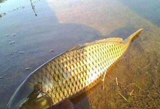 烏度卡，我們有一群努力用功的球員，一直是支高強(qiáng)度的團(tuán)隊(duì)