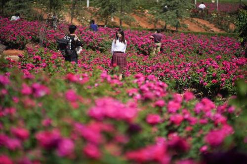 長(zhǎng)征中的流動(dòng)學(xué)校，教育與希望之花盛開(kāi)在征途路上