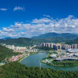 從茶山到云端，福建三明土特產(chǎn)的崛起與大市場的征服之路