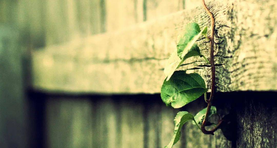 無緣沖甲后的苦澀與前行，糜昊倫的生活感悟