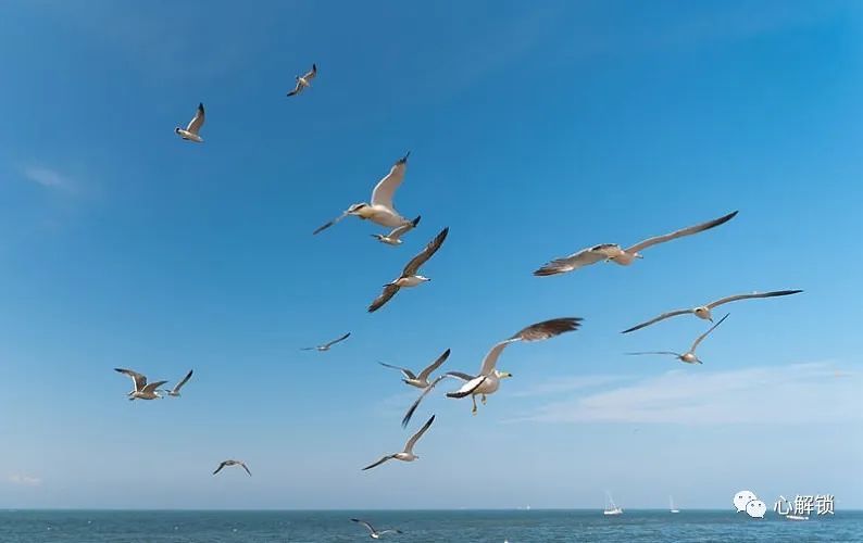 從開窗到賽場，馬特·伊巴的成長之路