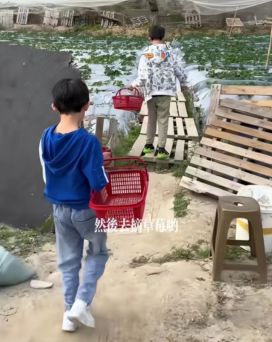 溫情瞬間，男子假期帶3歲孫子推100歲爺爺遛彎，祖孫三代共享天倫之樂(lè)