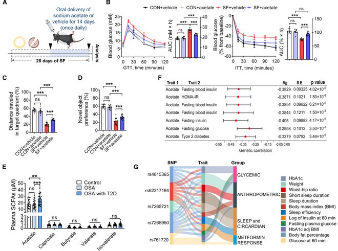 庫尼亞，超越認知能力的平衡領(lǐng)袖