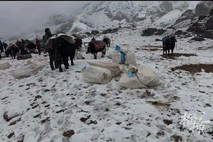 珠峰暴雪驚魂，向?qū)б蝗艘还?，帶領(lǐng)百人成功撤離！揭秘背后的感人故事