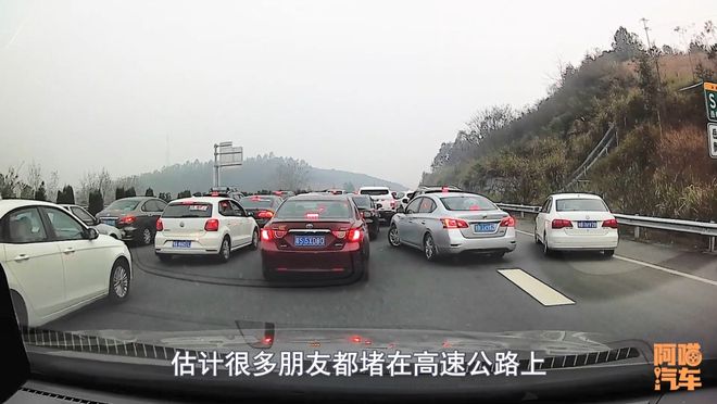 男子高速行駛，時(shí)速105公里猛撞橫穿野豬群，緊急時(shí)刻如何應(yīng)對(duì)？