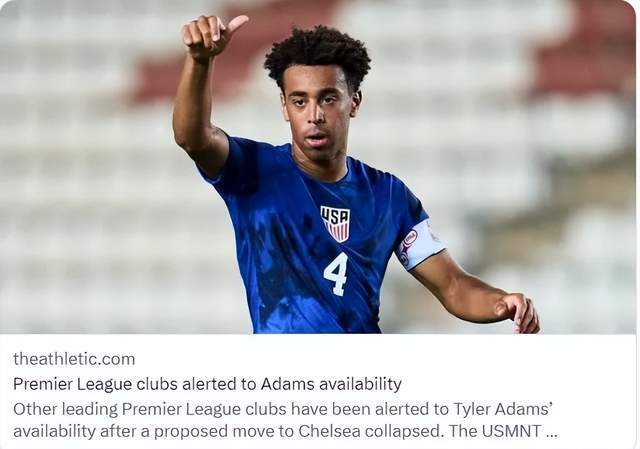 費(fèi)迪南德盛贊庫爾圖瓦與拉芒，英超新星的璀璨天賦與獨(dú)特風(fēng)格