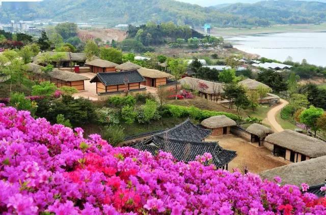 庫明加與勇士關(guān)系惡化，交易解套成焦點(diǎn)，勇士未來路在何方？