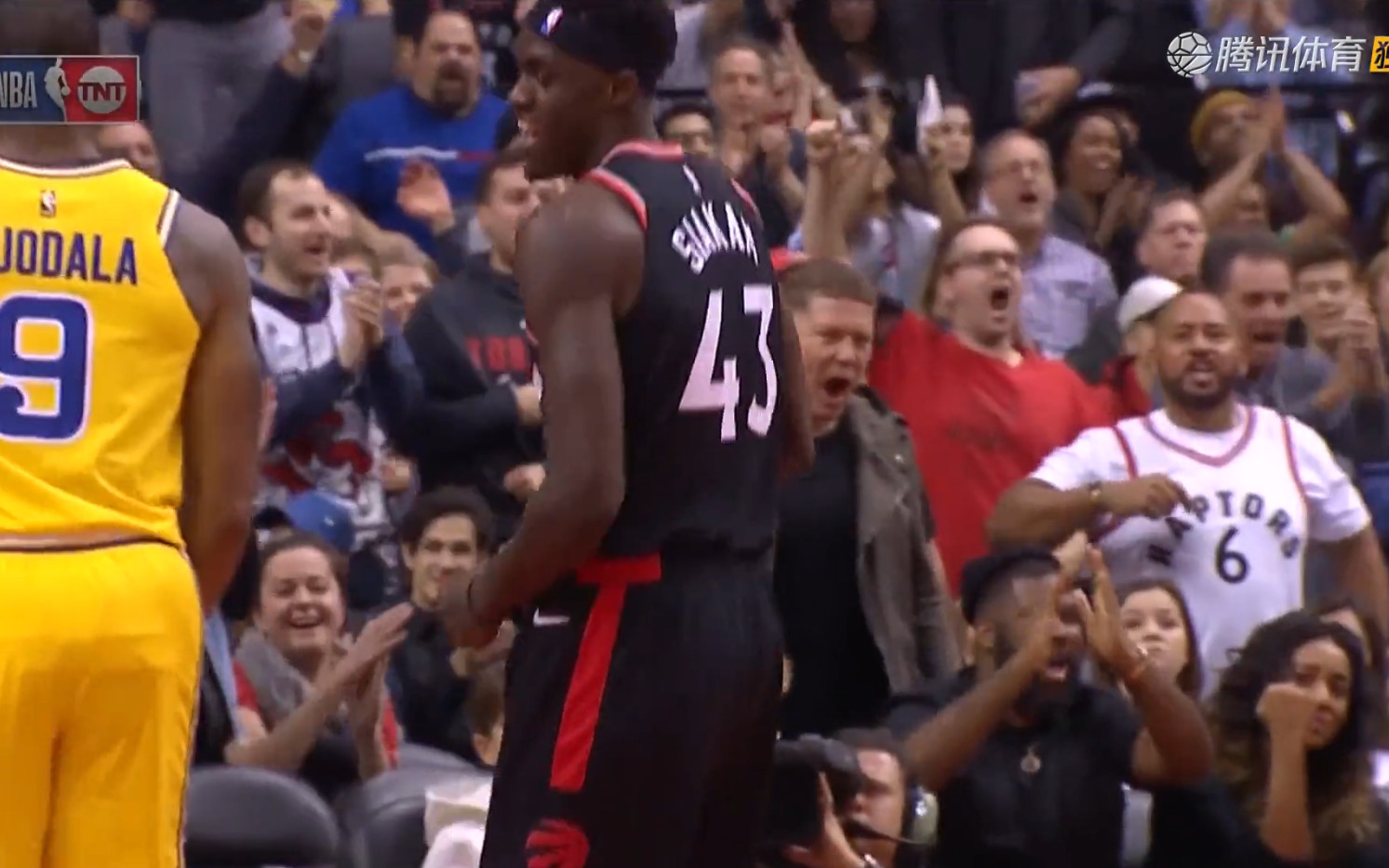 掘金開局不利，半場落后猛龍八載流言板