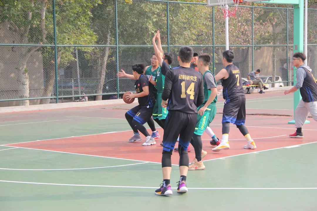 獨行俠夏令營震撼來襲，弗拉格花式隔扣點燃籃球夢