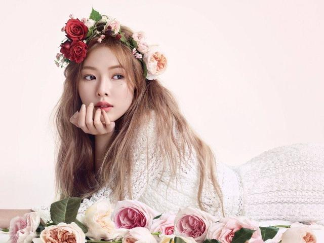 金色座椅映思念，鮮花獻(xiàn)韻悼楊雪，國(guó)安球迷致敬忠誠(chéng)守護(hù)者