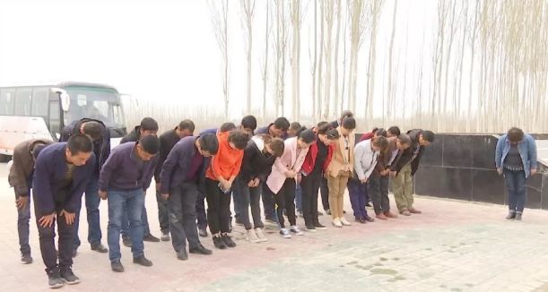 八寶山排起長隊(duì)，群眾含淚送別楊振寧，一代科學(xué)巨匠的永恒緬懷