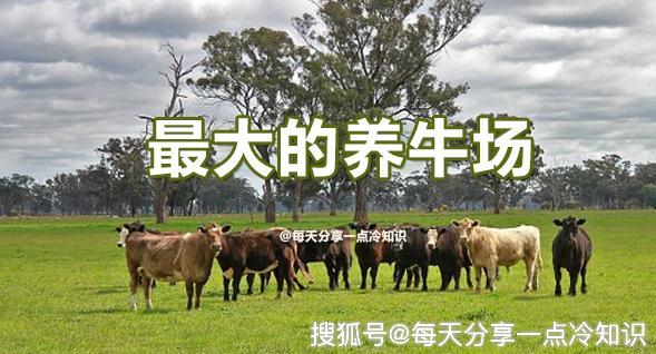 養(yǎng)殖場馬匹疑被無人機(jī)射死，警方介入調(diào)查，真相背后隱藏何種隱情？
