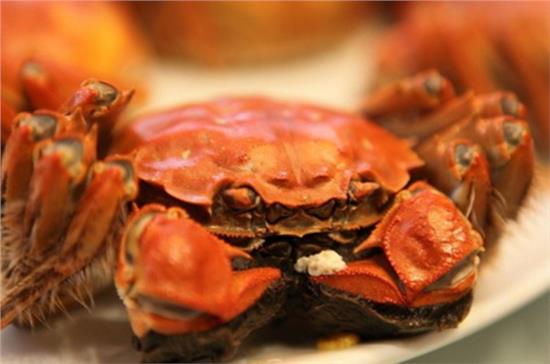 奇聞異事，大閘蟹鉆進(jìn)車內(nèi)消失2年，神秘現(xiàn)身引網(wǎng)友熱議