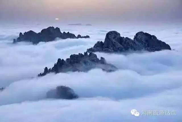 探秘老君山陰陽(yáng)分界線，奇觀背后的神秘傳說(shuō)