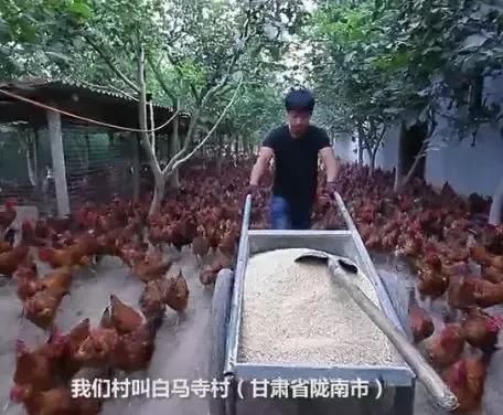 95后村支書帶領(lǐng)留守村逆襲，如何把家鄉(xiāng)變成網(wǎng)紅村？