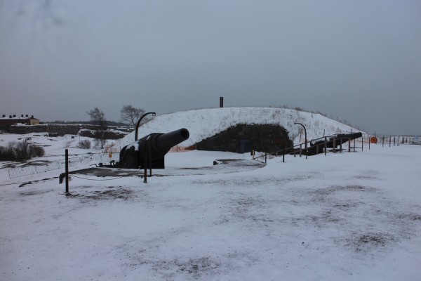 吉林多地下起鵝毛大雪，冬日里的壯美畫卷