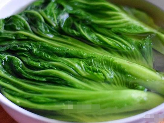 居民腌制酸菜長(zhǎng)出嫩芽，網(wǎng)友紛紛求購(gòu)，這是怎么回事？