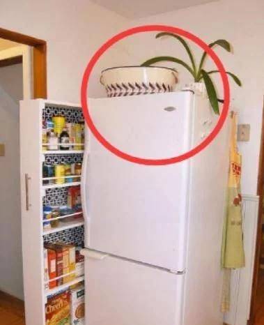 女子抬冰箱遇困，3女孩主動搭手，彰顯人間大愛！